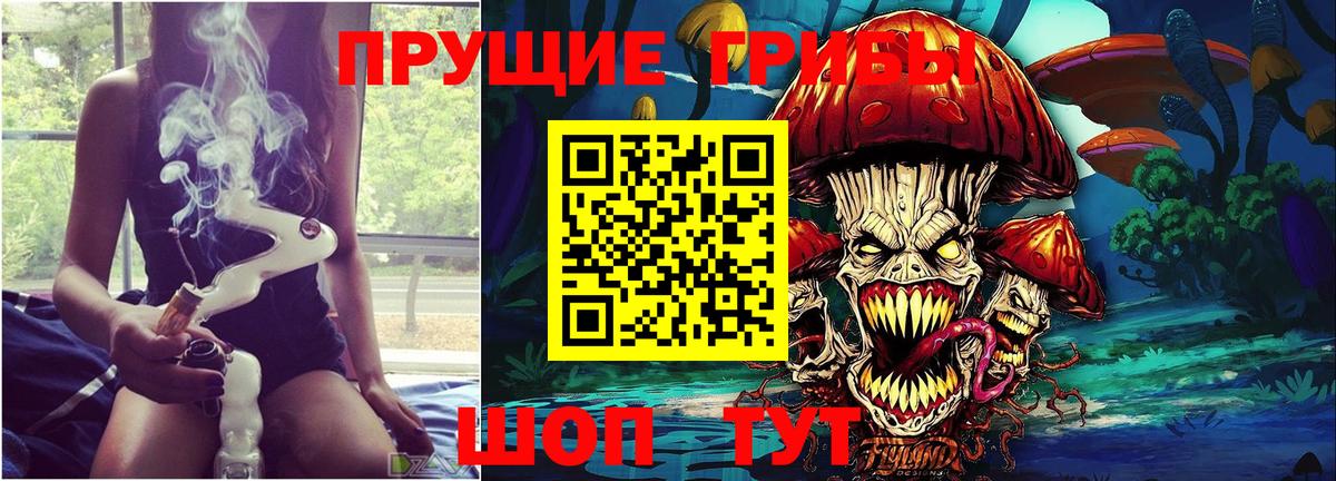 Галлюциногенные грибы прущие грибы  Вход с VPN  Славгород 